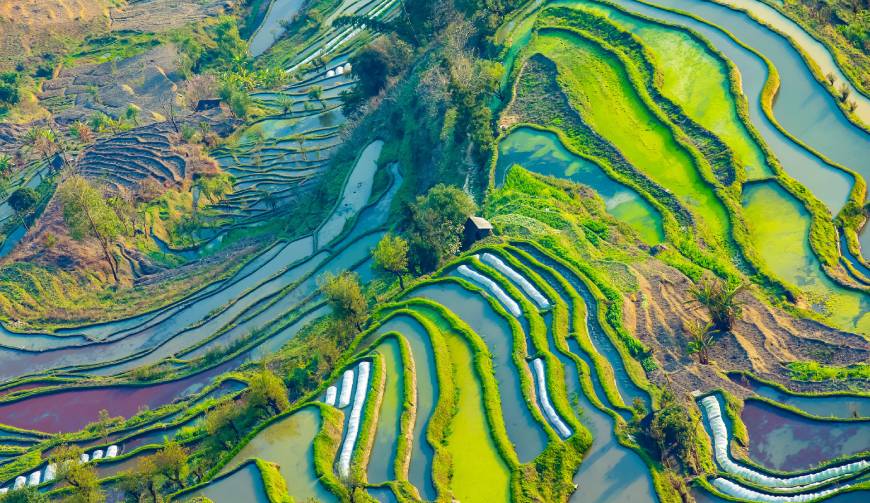 宝妈必备神器：平阳县产品视频拍摄轻松育儿好帮手