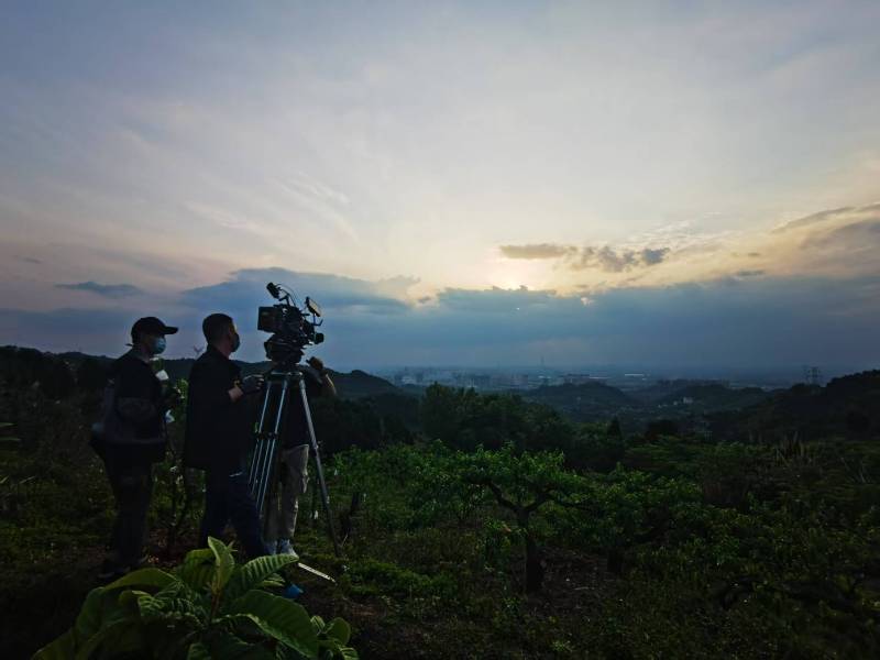 聚焦平阳县产品宣传视频拍摄公司，用专业实力铸就品牌传播传奇